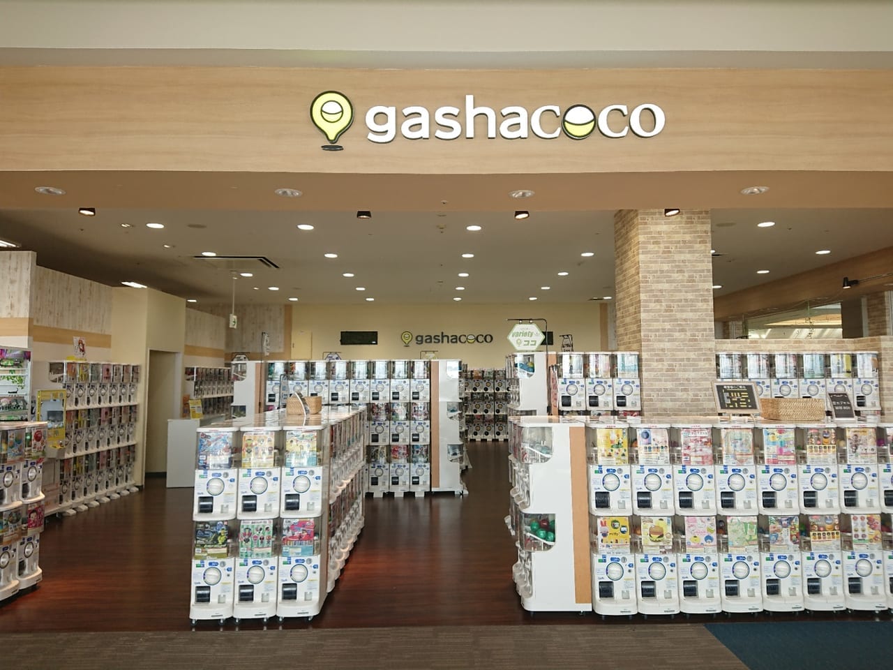 【伊勢崎市】ガチャガチャ専門店「ガシャココ」がスマークにオープン！約900アイテム品揃えの大型専門店です。