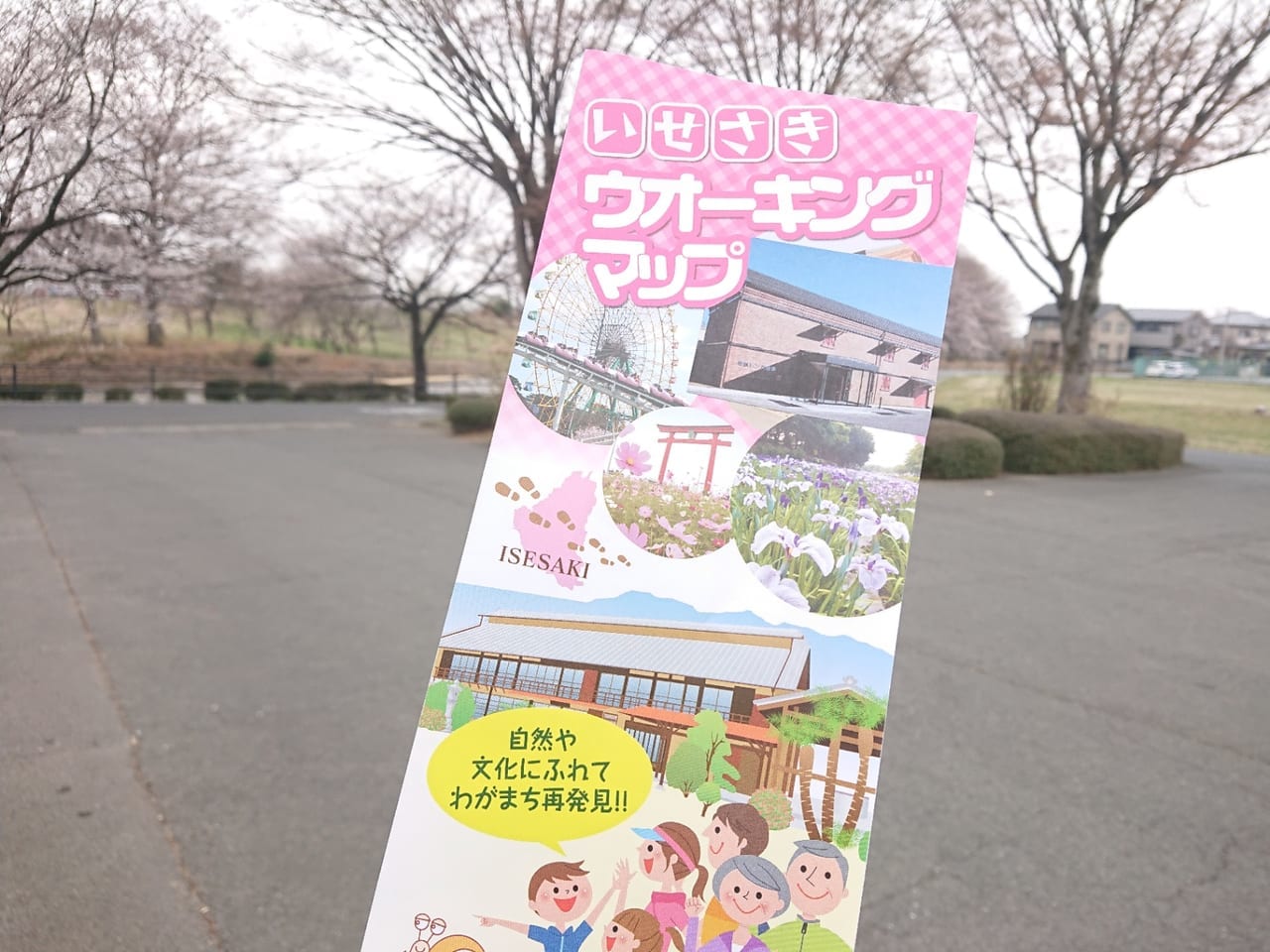 【伊勢崎市】市内各地の桜が見頃を迎えています♪リニューアルした「伊勢崎ウォーキングマップ」のコースを歩いてみた！