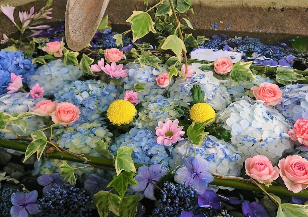 【伊勢崎市】心癒される『飯福神社』の花手水が話題となっています！