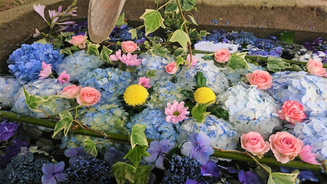 【伊勢崎市】心癒される『飯福神社』の花手水が話題となっています！