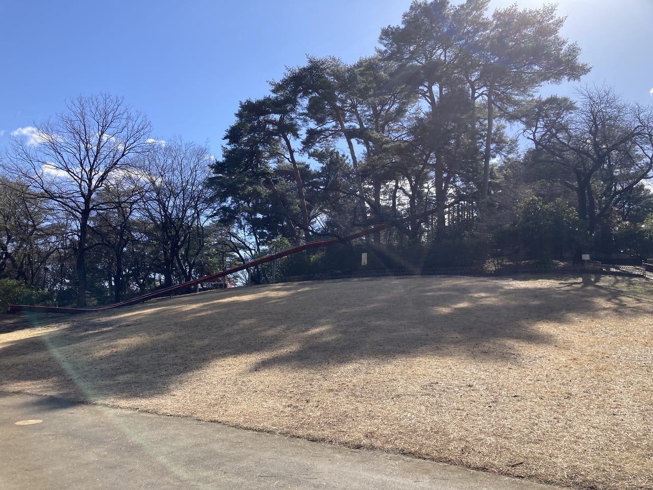 華蔵寺公園滑り台