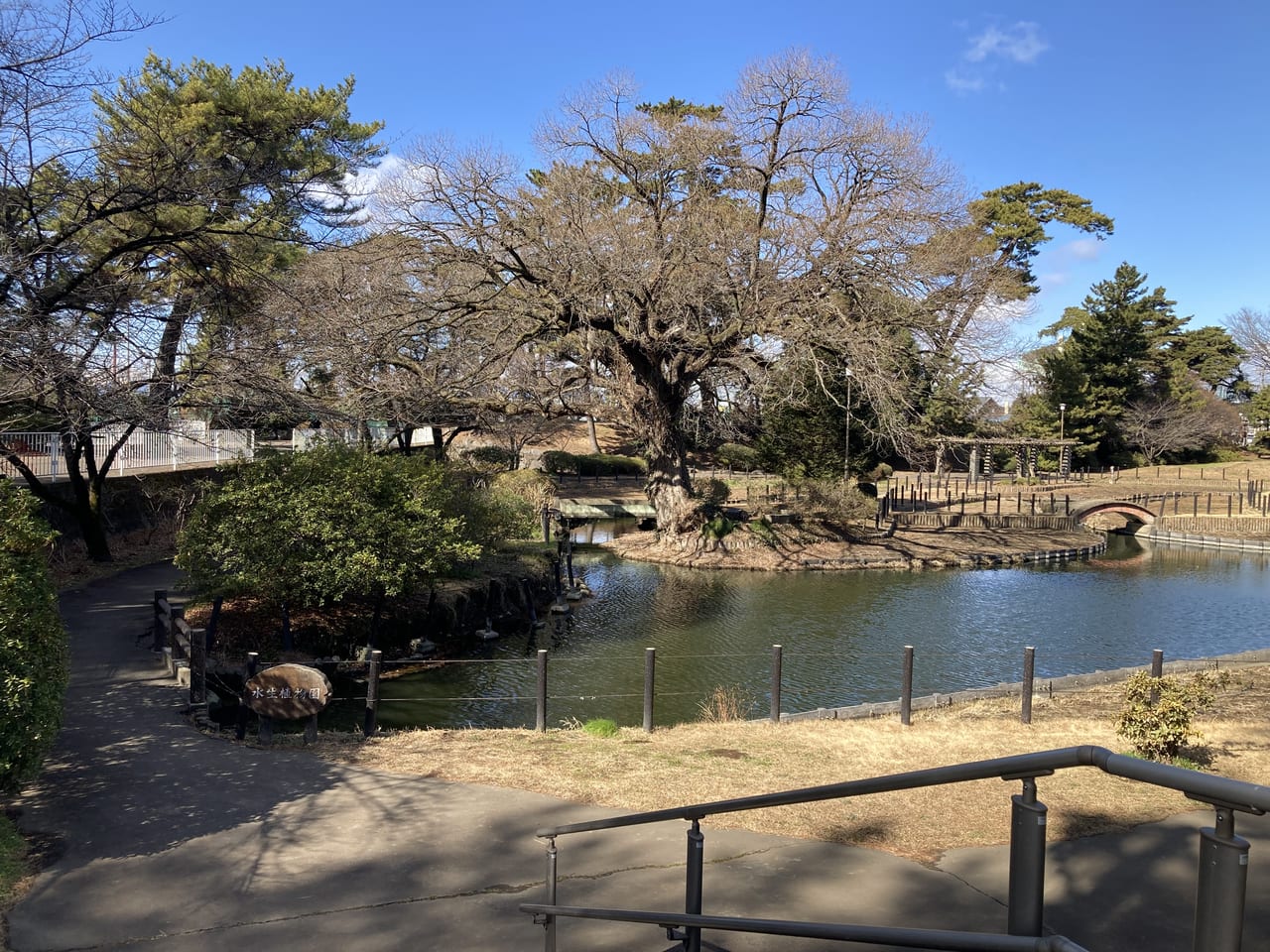 華蔵寺公園水生植物園