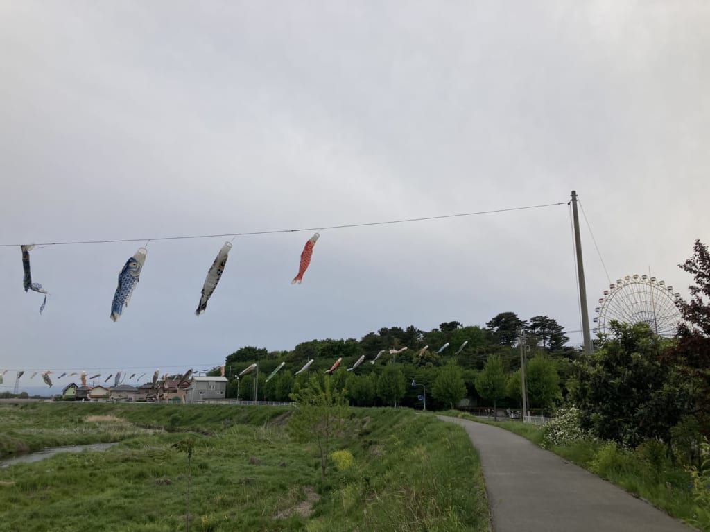kasimakoinoborikanransya