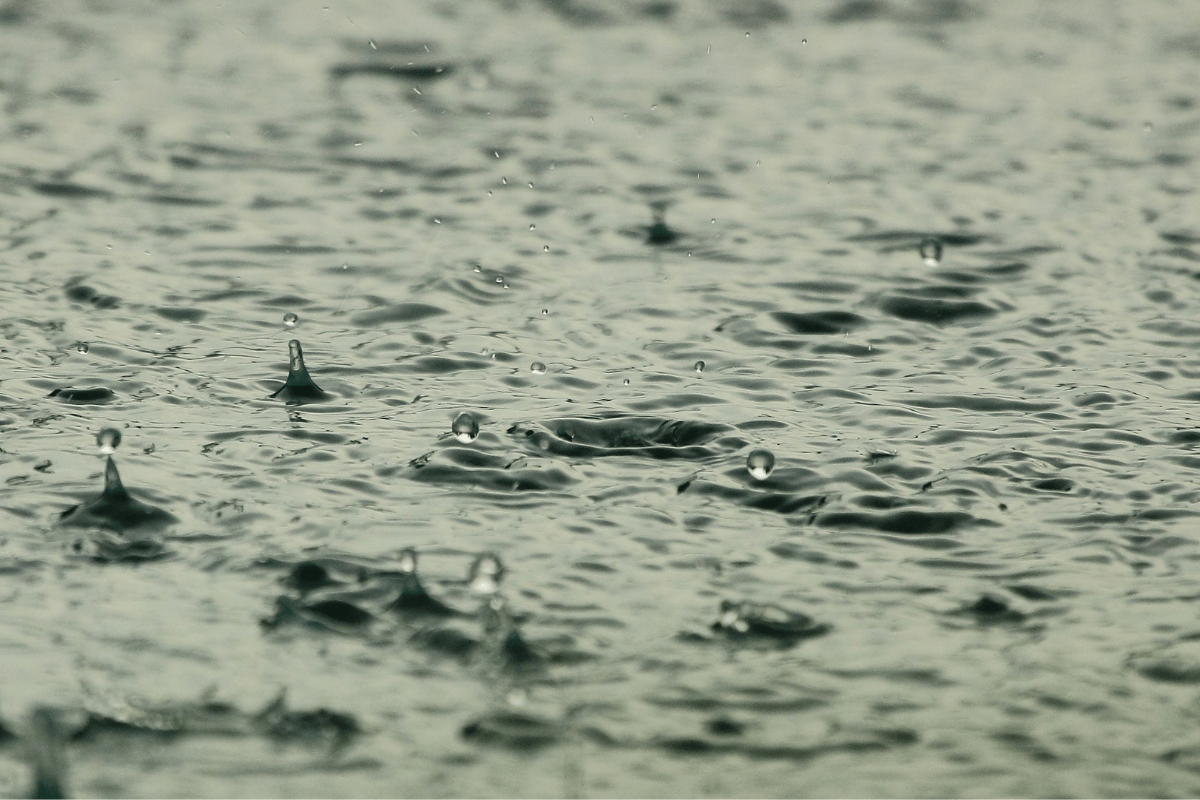 雨