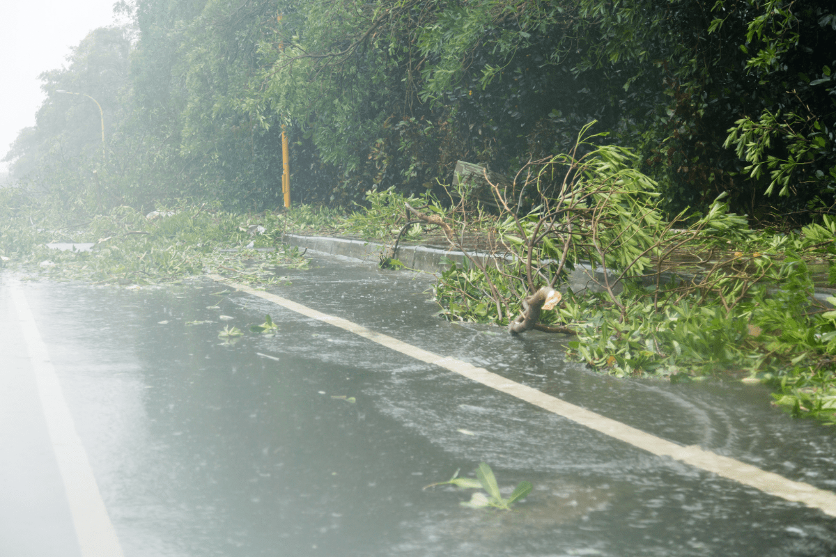 台風