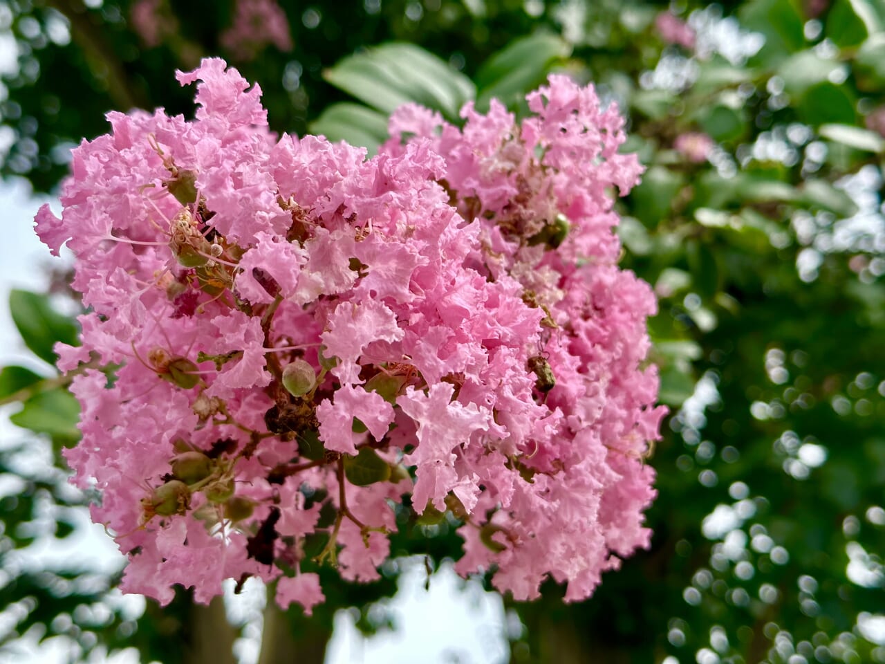 波志江沼公園