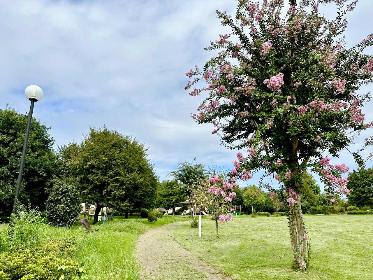 波志江沼公園