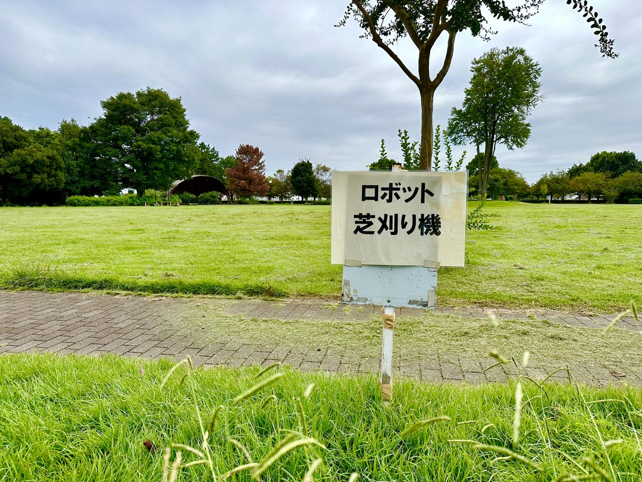 波志江沼公園