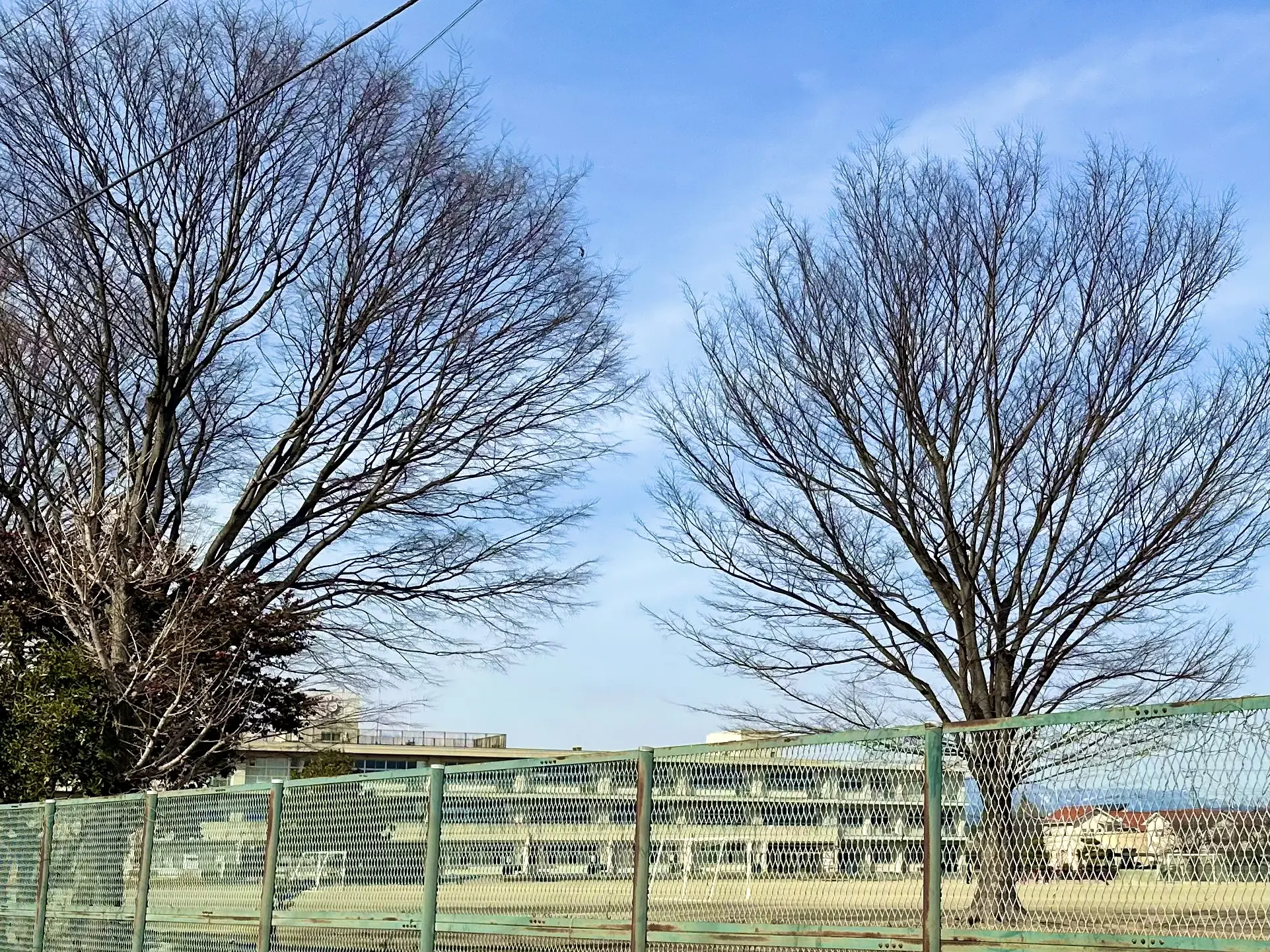 伊勢崎市あずま南小学校