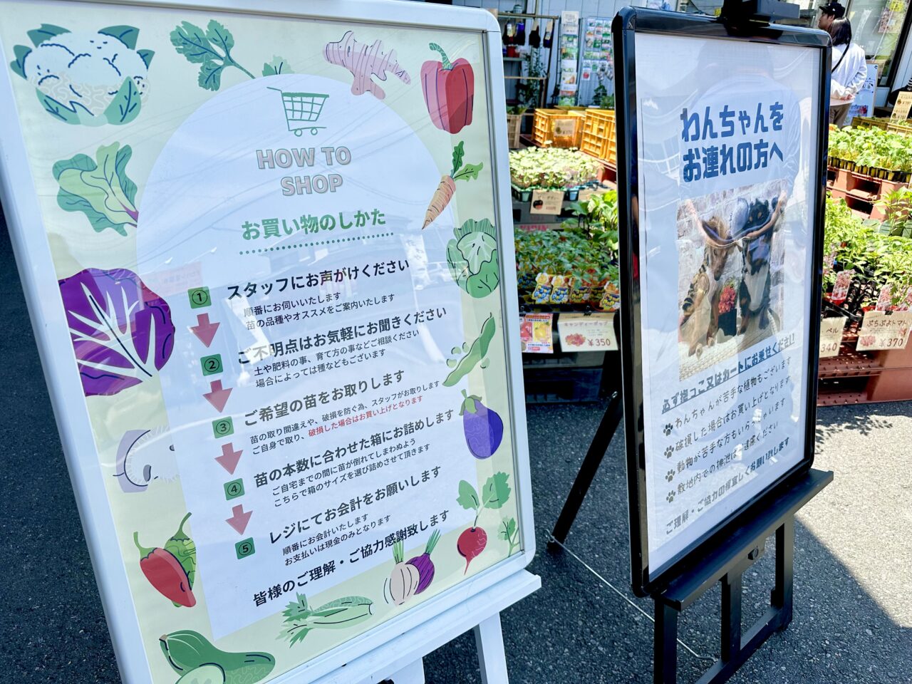 たねや祭