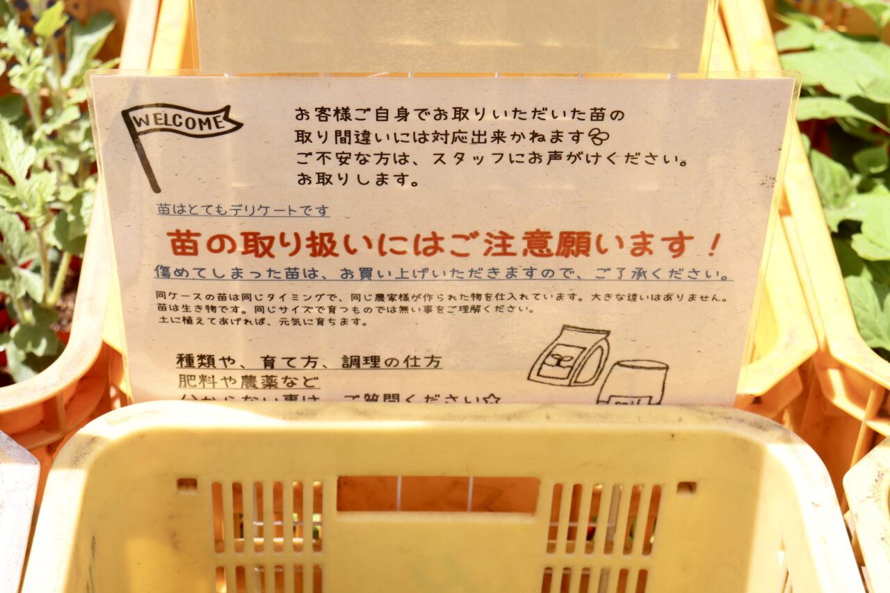 たねや祭