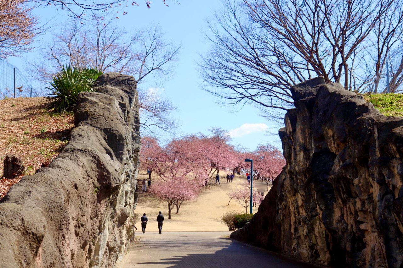 伊勢崎市みらい公園