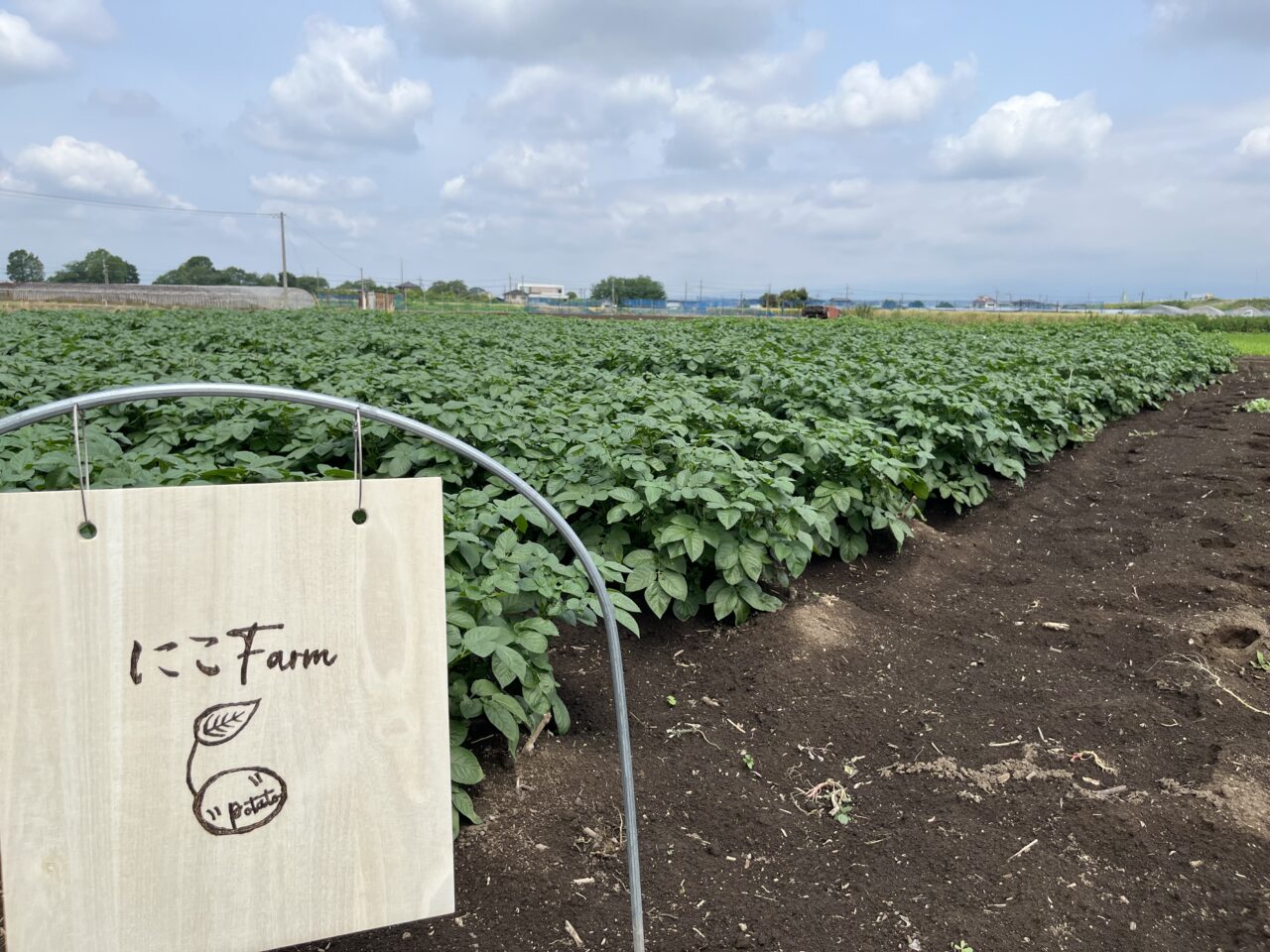 にこFarm