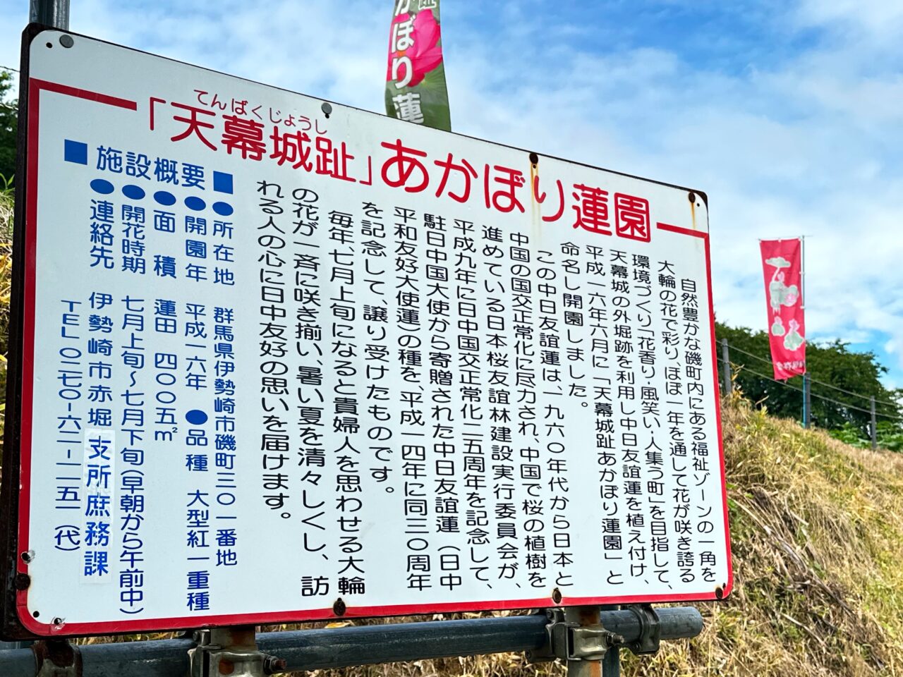 あかぼり蓮園