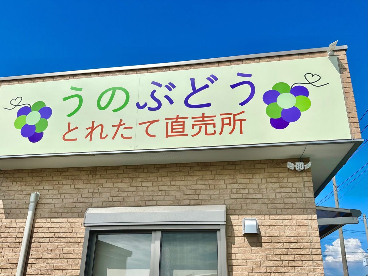 うのぶどう