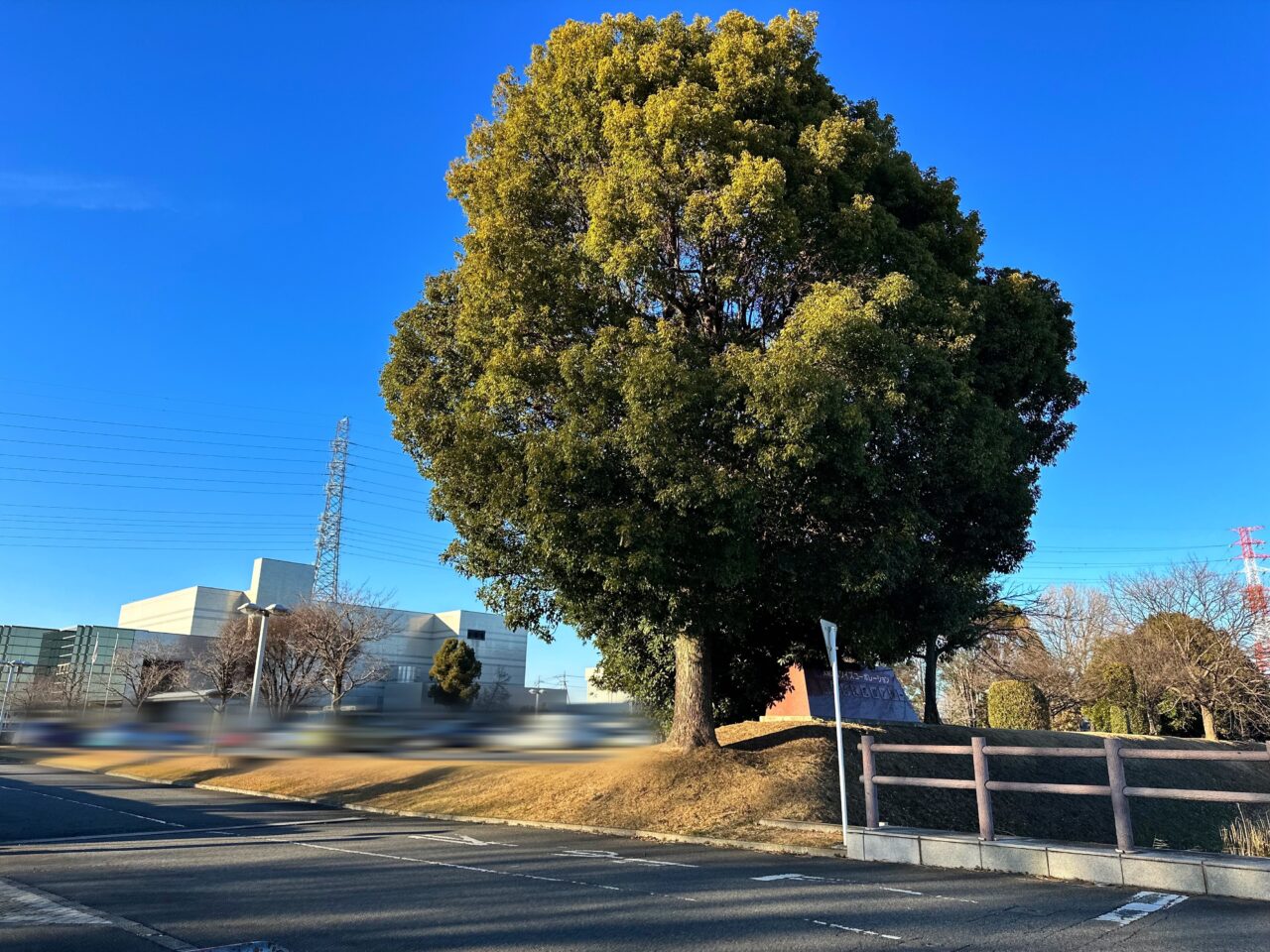 境総合文化センター