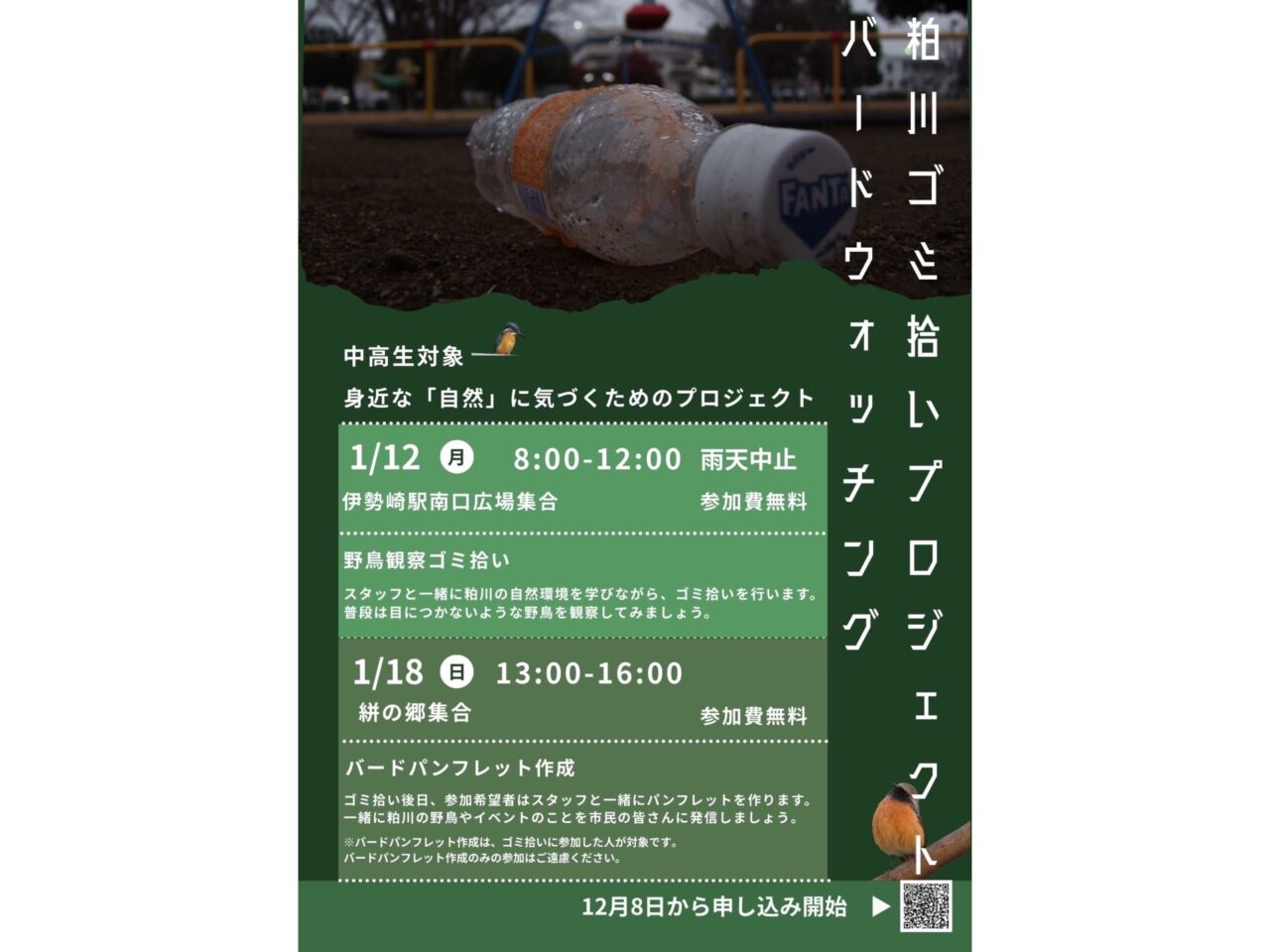 バードウォッチング