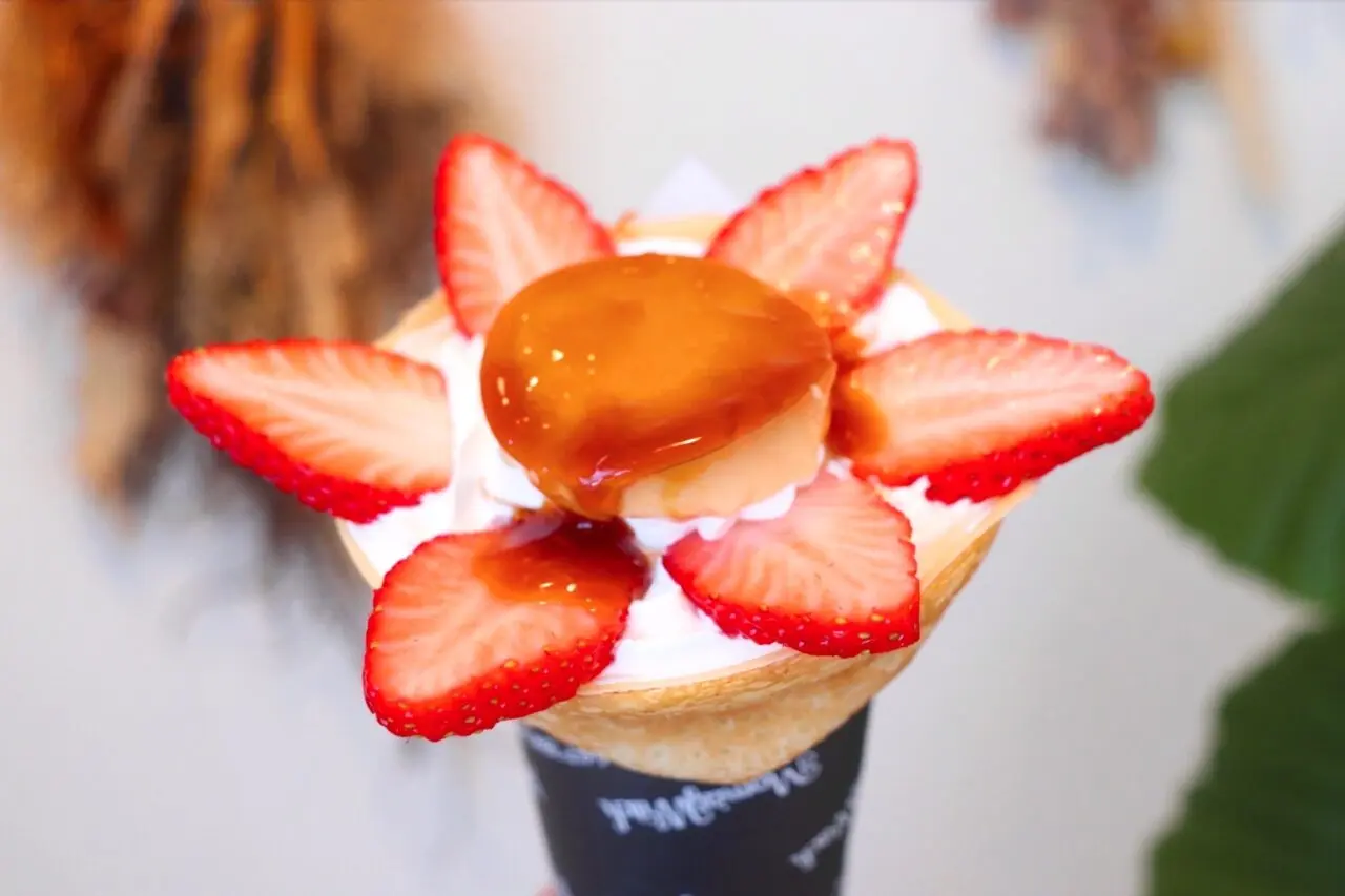 モミリーウィッチ