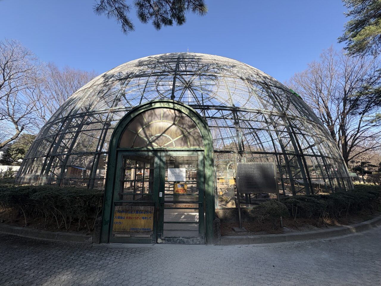 2026年3月17日華蔵寺公園バードドーム