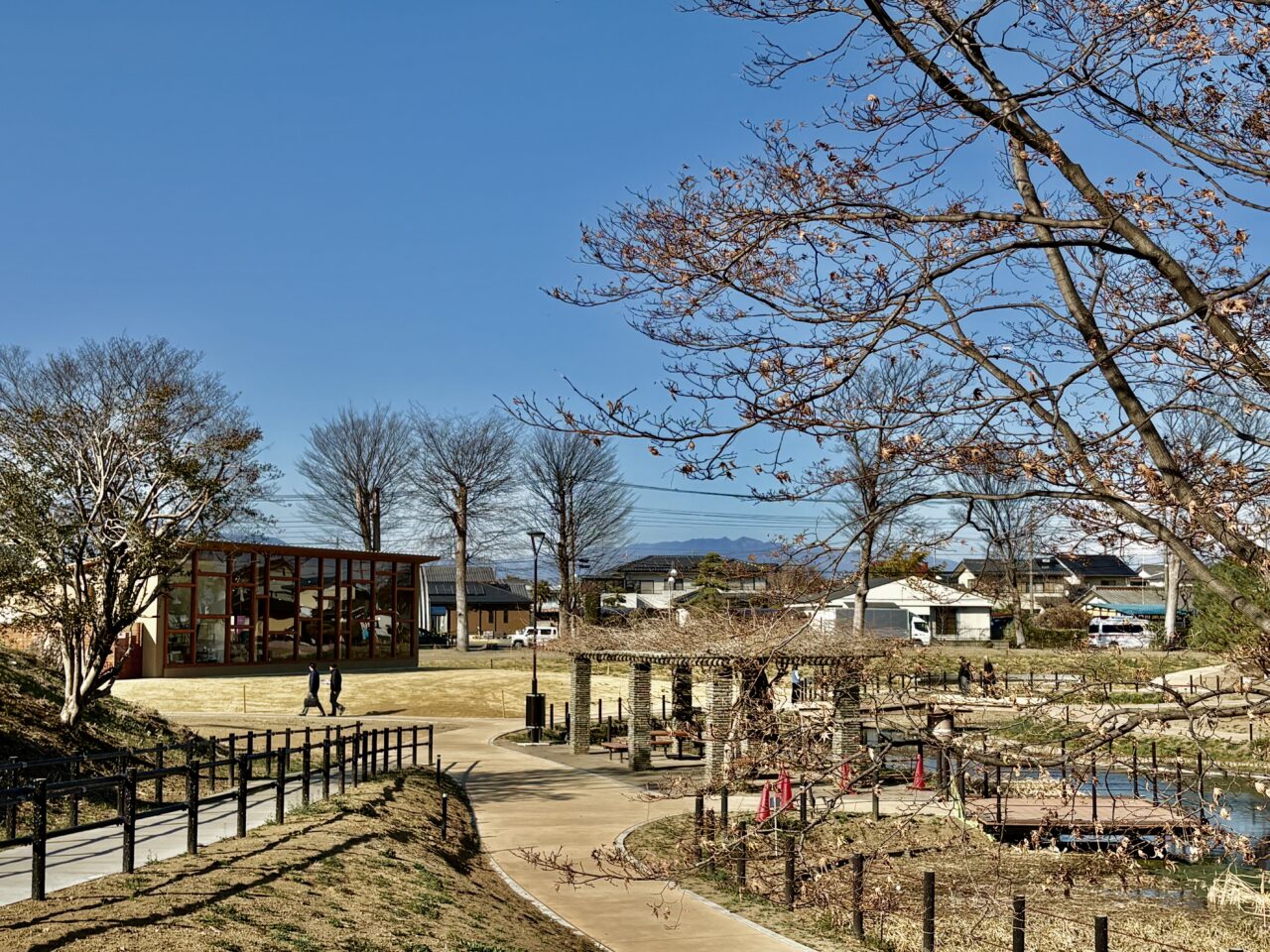 2026年3月17日華蔵寺公園水生植物園遊歩道・カフェ