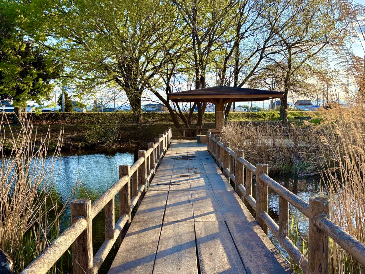 2026年4月3日境ふれあいパーク水生植物園