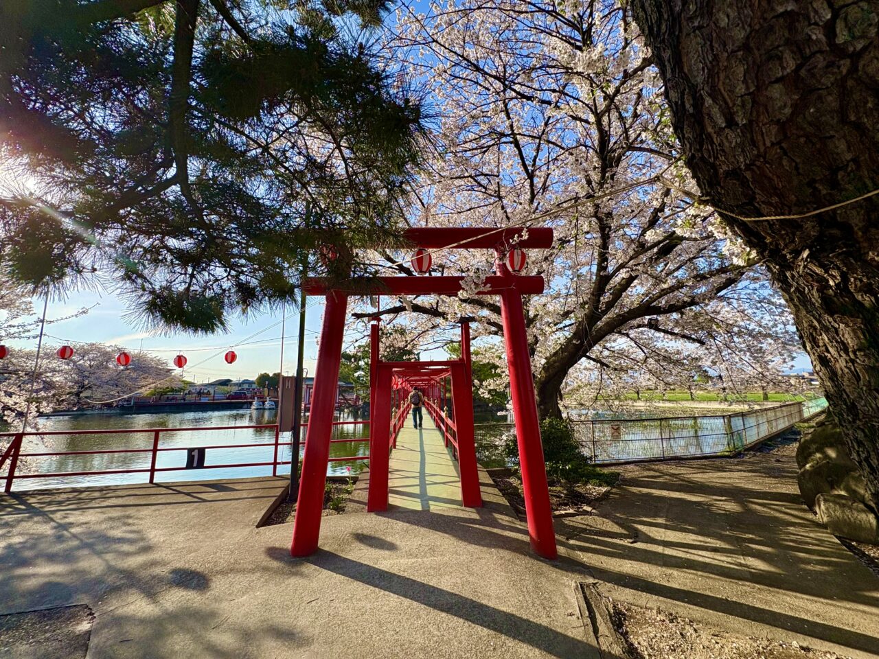 2026年4月4日白龍神社二の鳥居