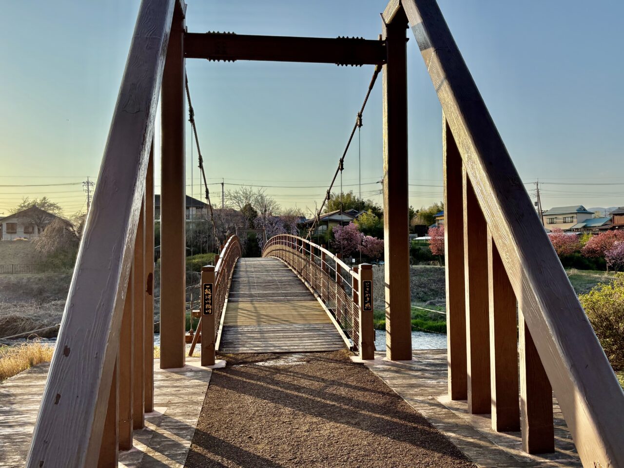 2026年4月6日せせらぎパーク吊り橋