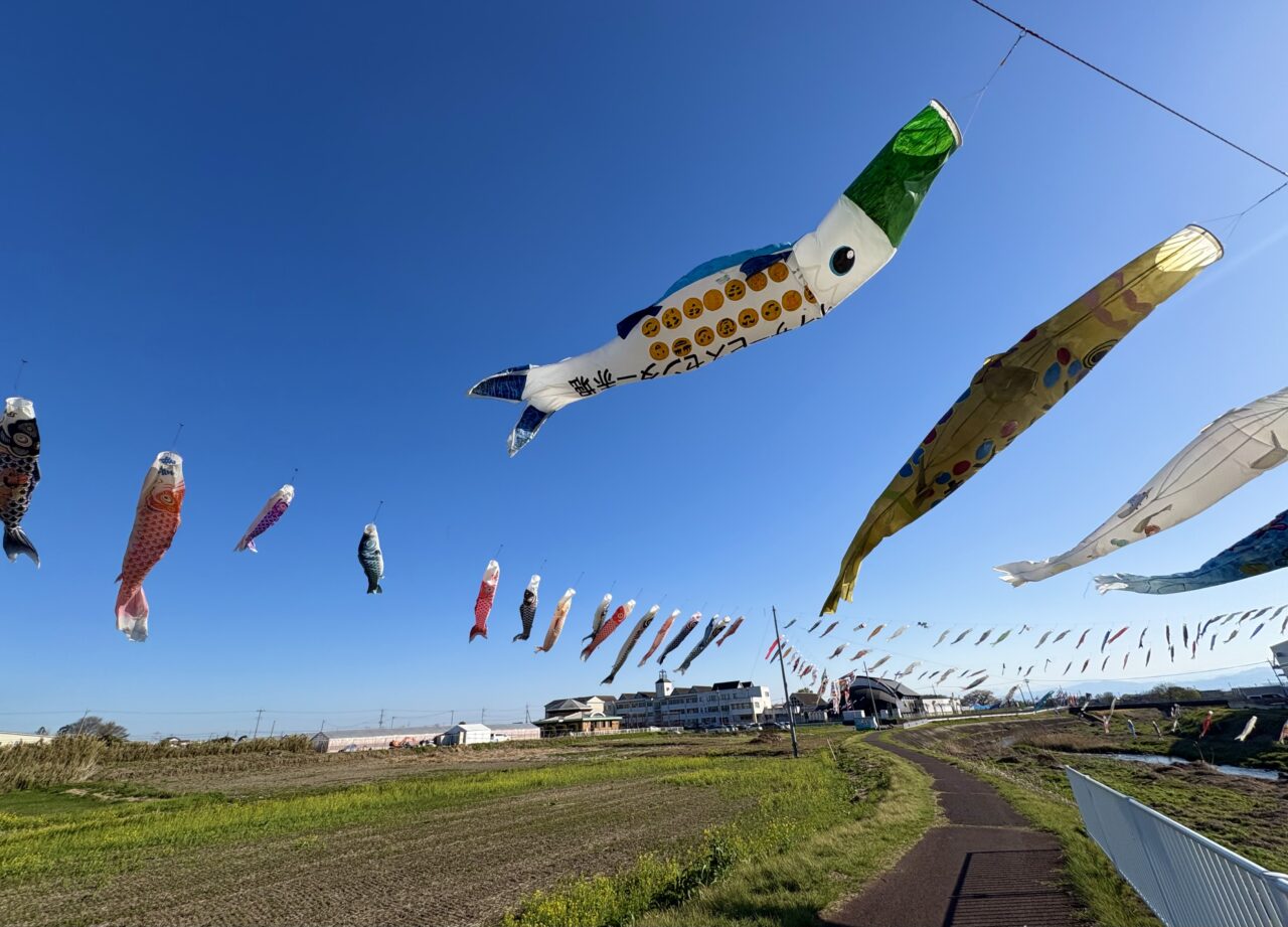 2026年4月9日堀下鯉のぼりズラリ