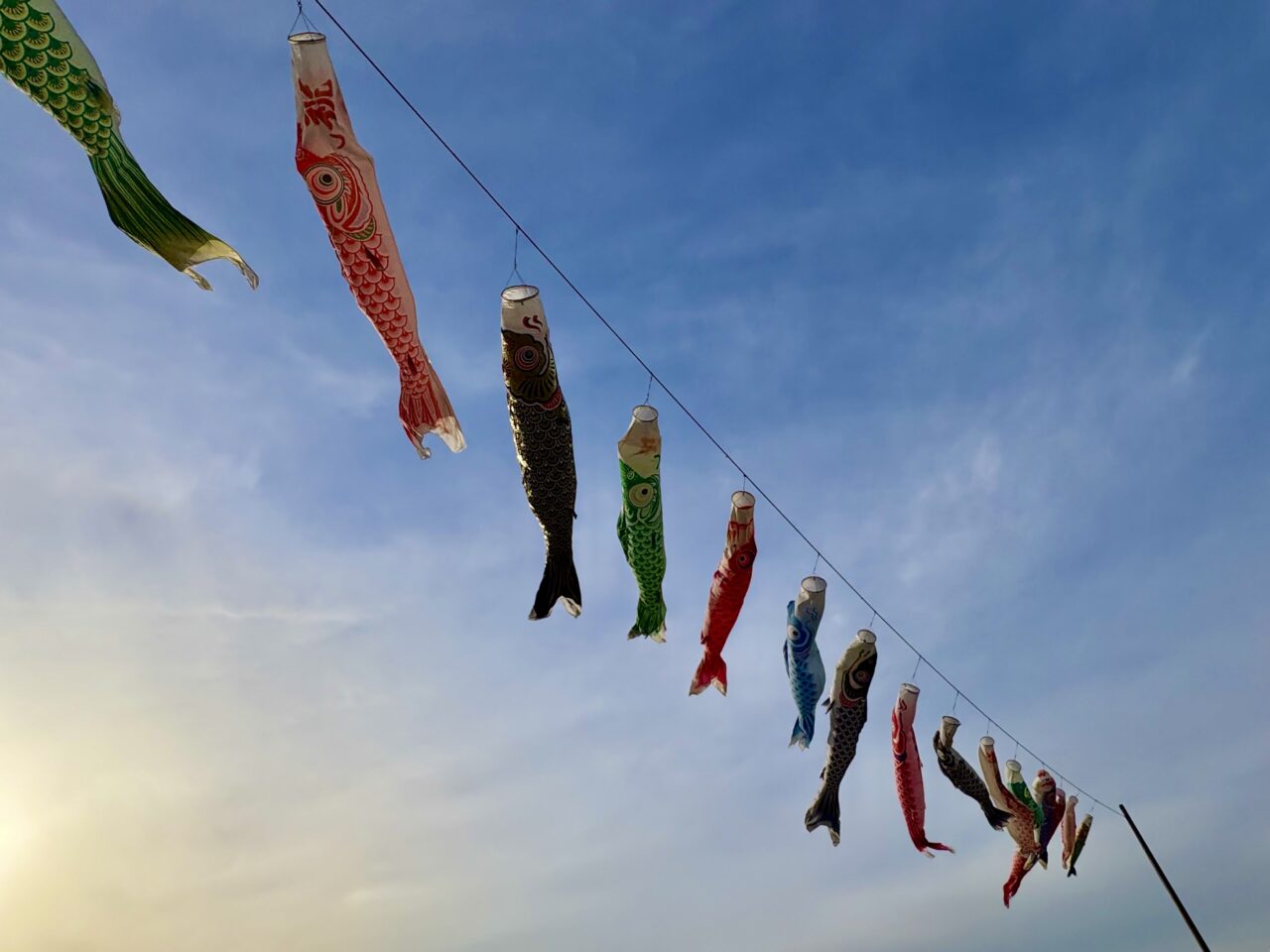 2026年4月20日鹿島鯉のぼり泳ぐ