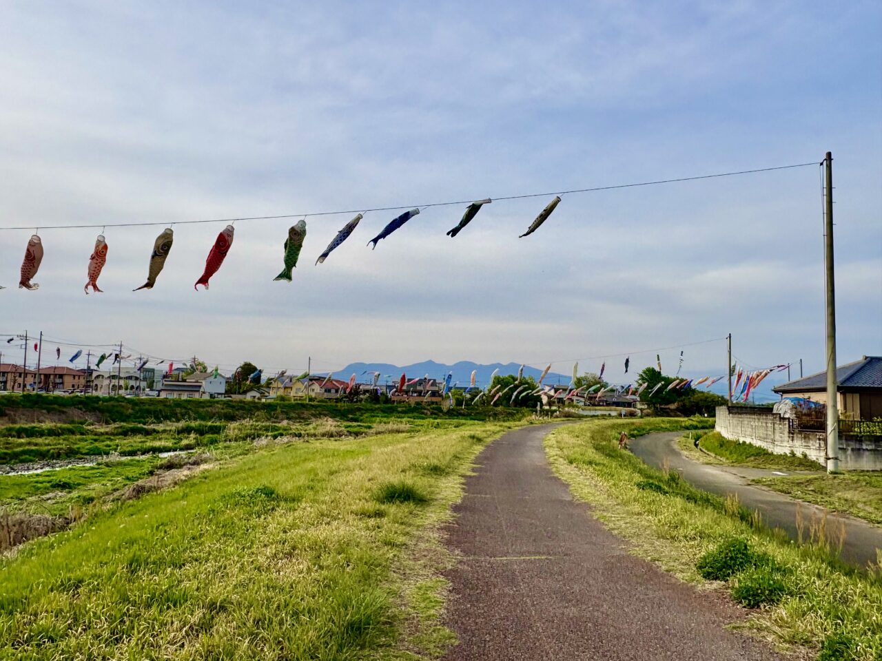 2026年4月20日粕川沿い歩道