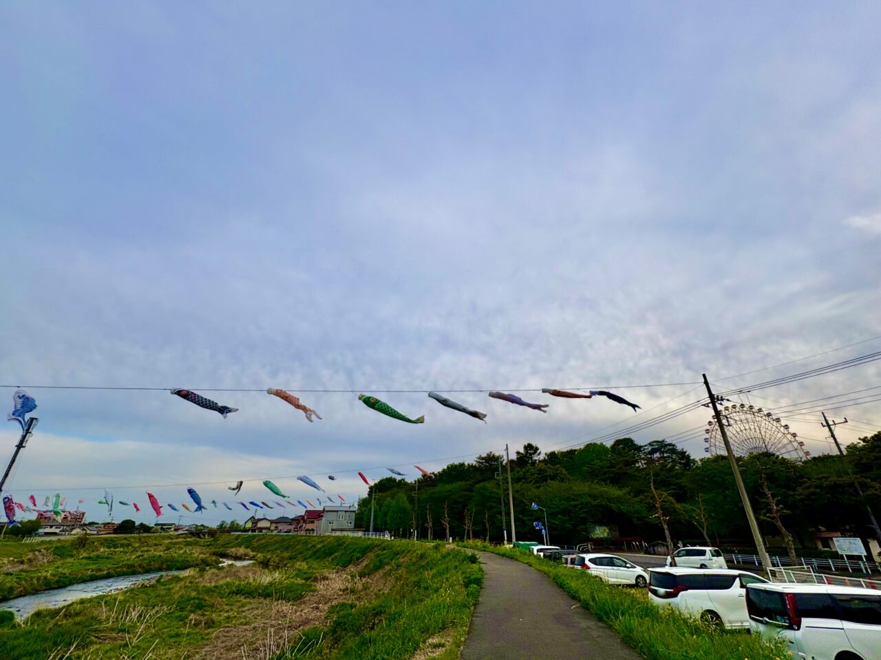 2026年4月20日鹿島鯉のぼり華蔵寺公園側