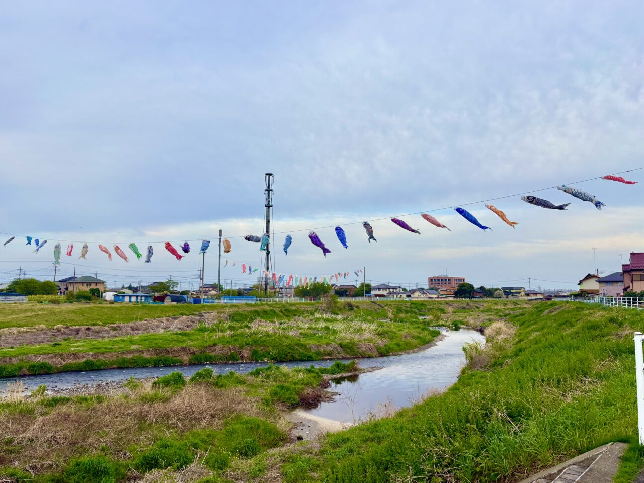 2026年4月30日鹿島鯉のぼり華蔵寺公園側