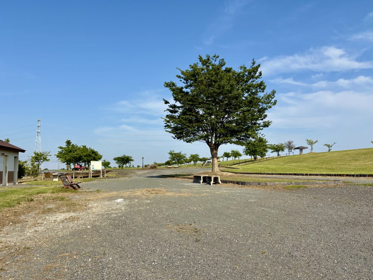 2026年5月21日島村河津さくら公園