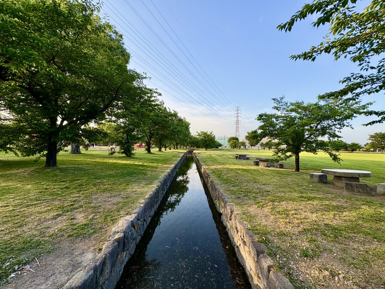 2026年6月11日境ふれあいパーク光景
