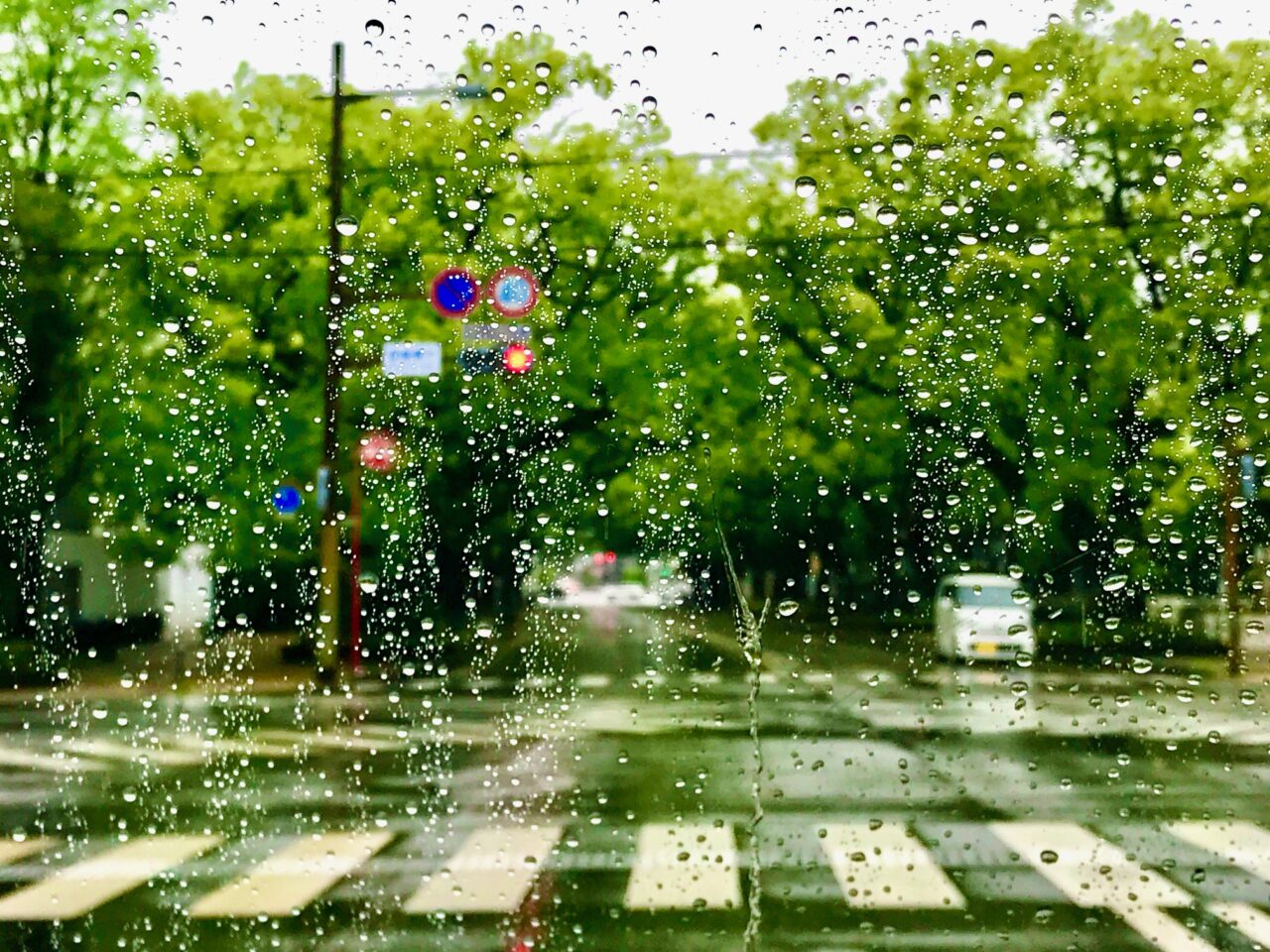 2026年6月2日雨の日のガラス越しの風景イメージ