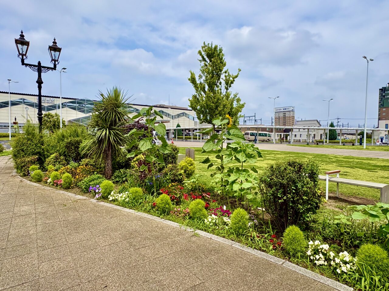 2026年7月6日伊勢崎駅南口駅前花壇