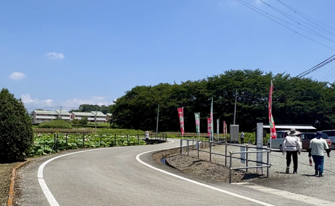2026年7月9日天幕城址あかぼり蓮園駐車場