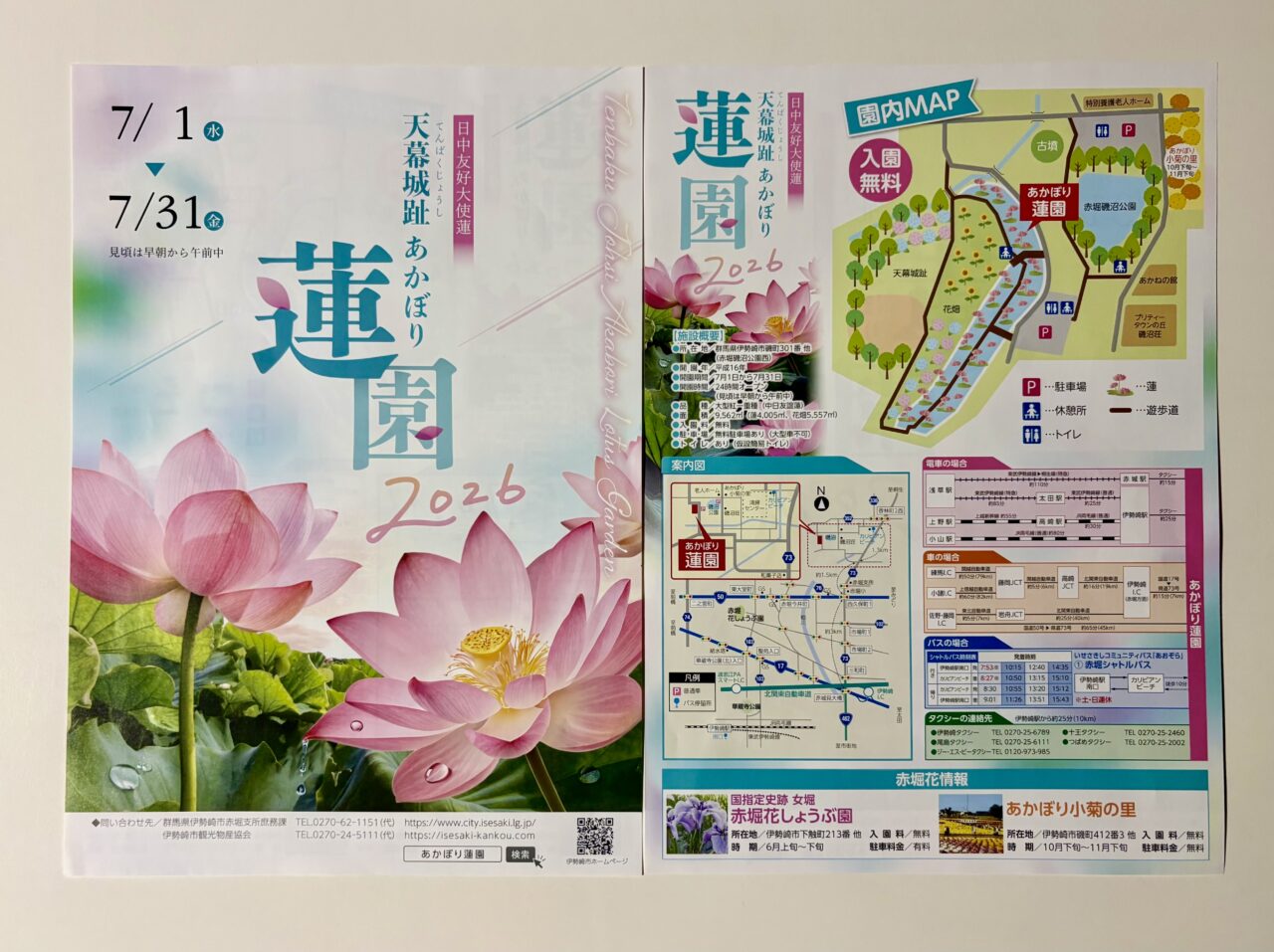 2026年7月9日天幕城址あかぼり蓮園チラシ