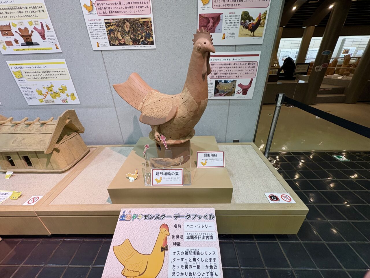 2026年7月27日ハニ・ワトリー展示