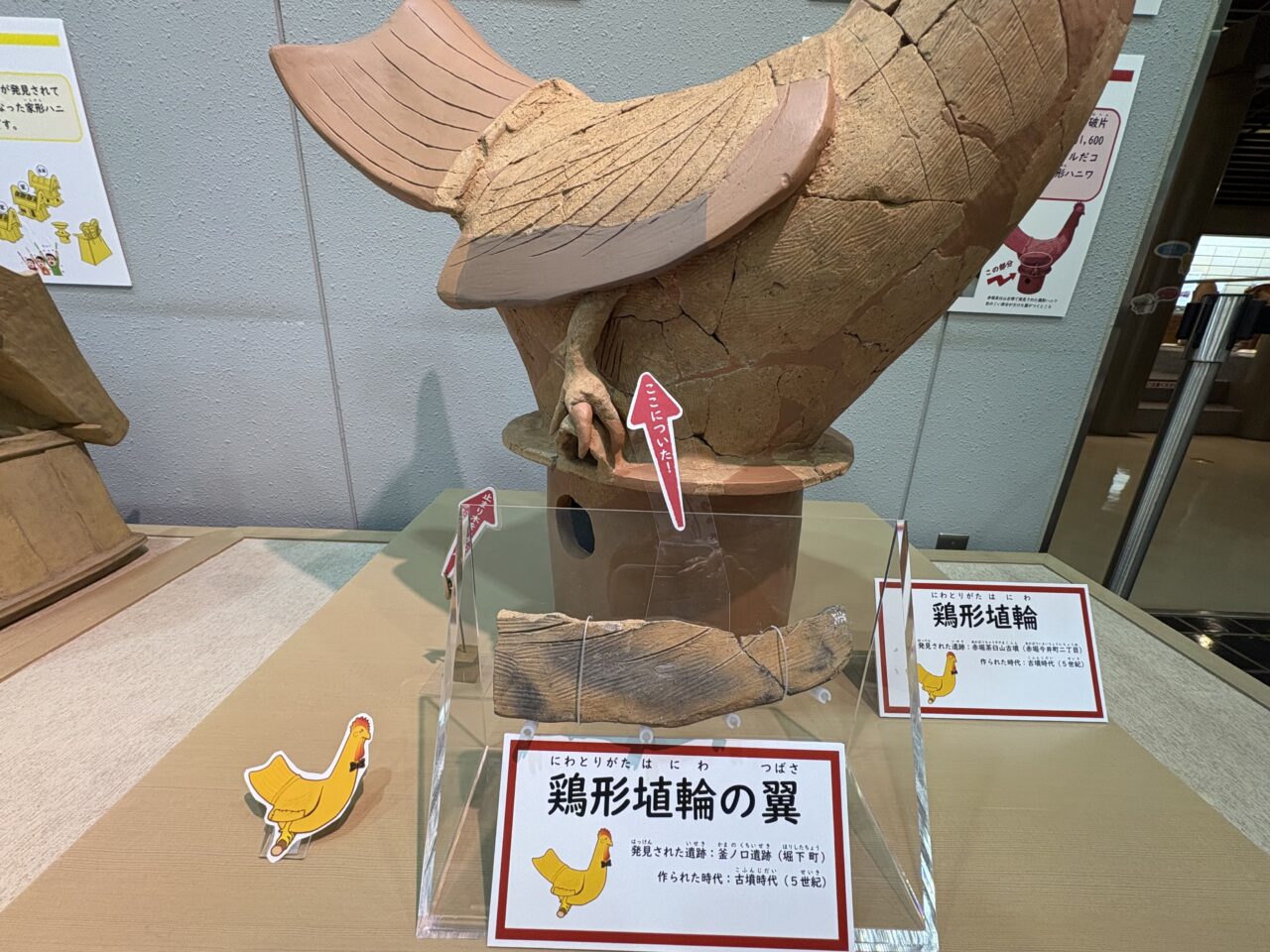 2026年8月13日鶏型埴輪の翼