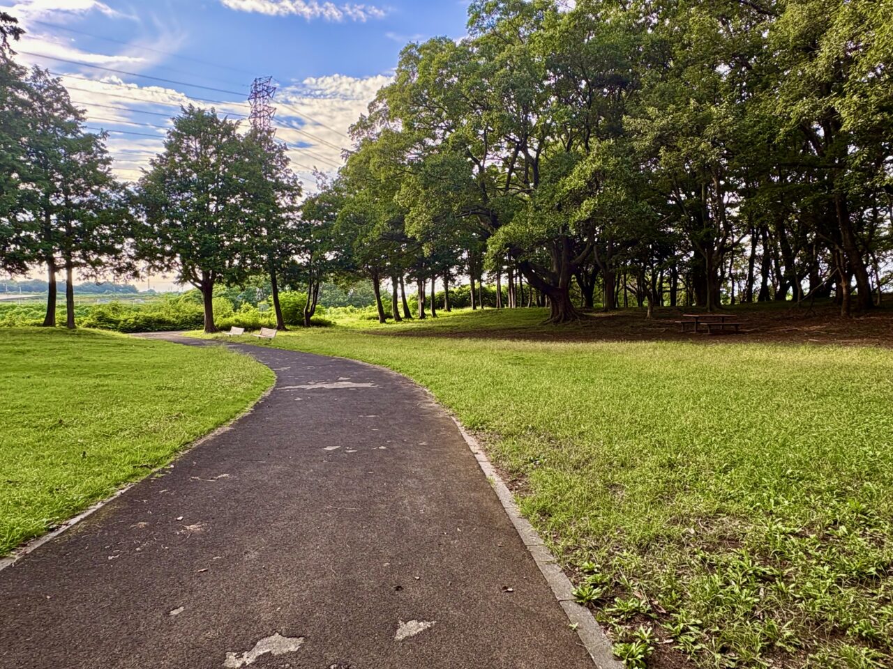 2026年9月5日境御嶽山自然の森公園遊歩道