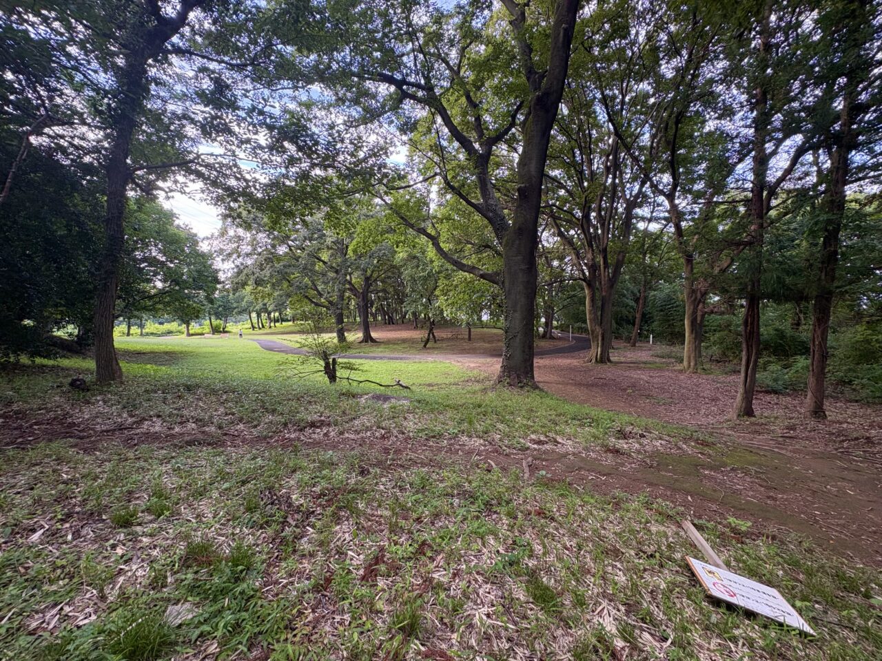 2026年9月5日境御嶽山自然の森公園彼岸花の丘