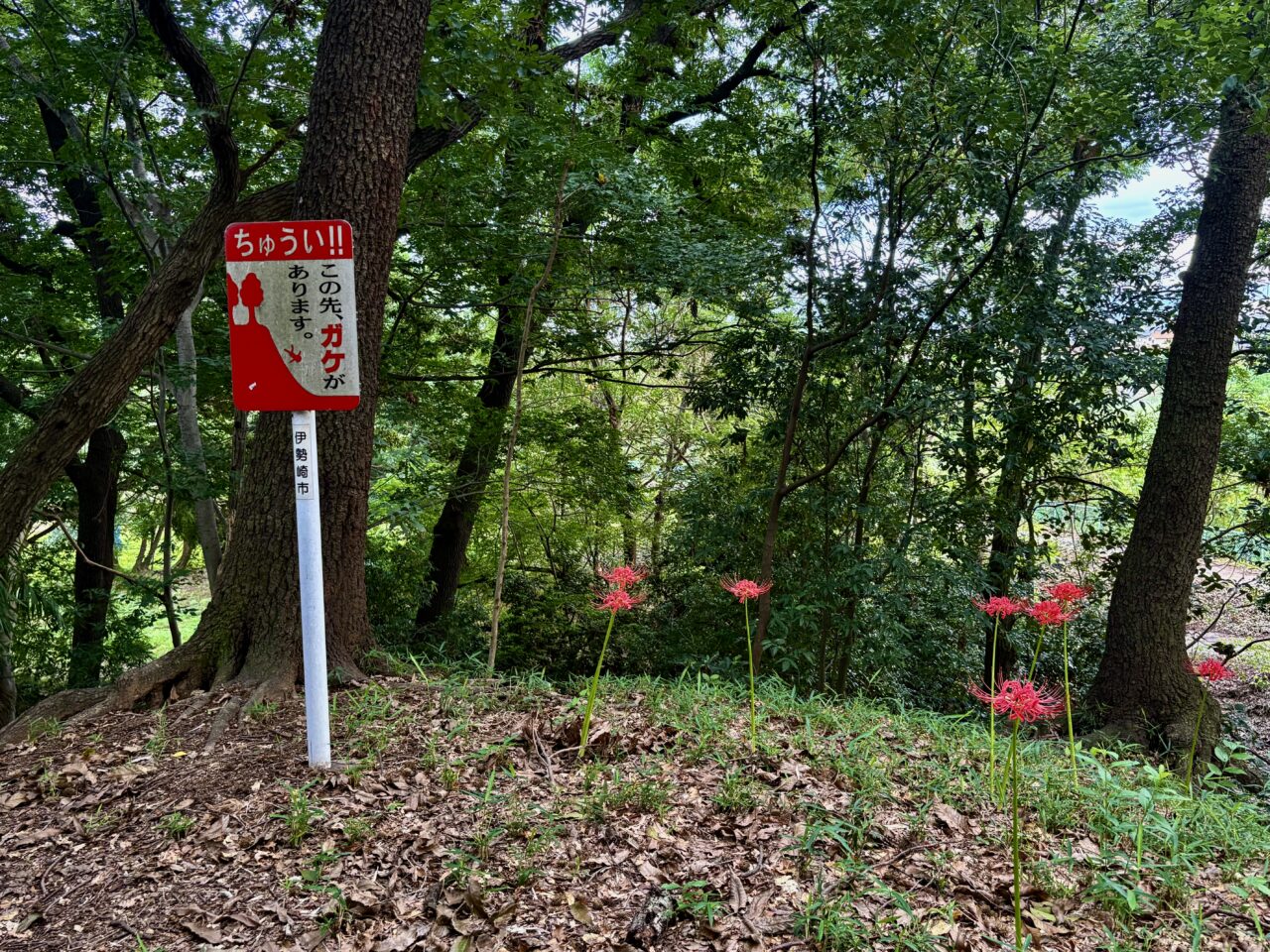 2026年9月21日境御嶽山自然の森公園ガケに注意