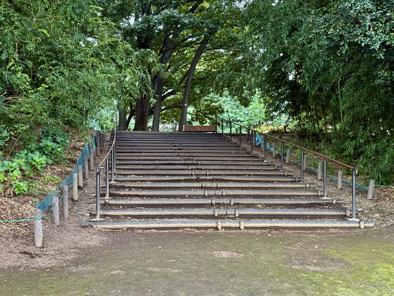 2026年9月21日境御嶽山自然の森公園階段