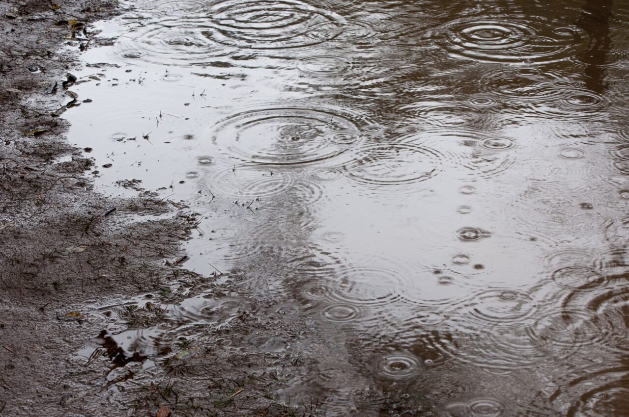 2026年9月20日雨の日の水たまりイメージ