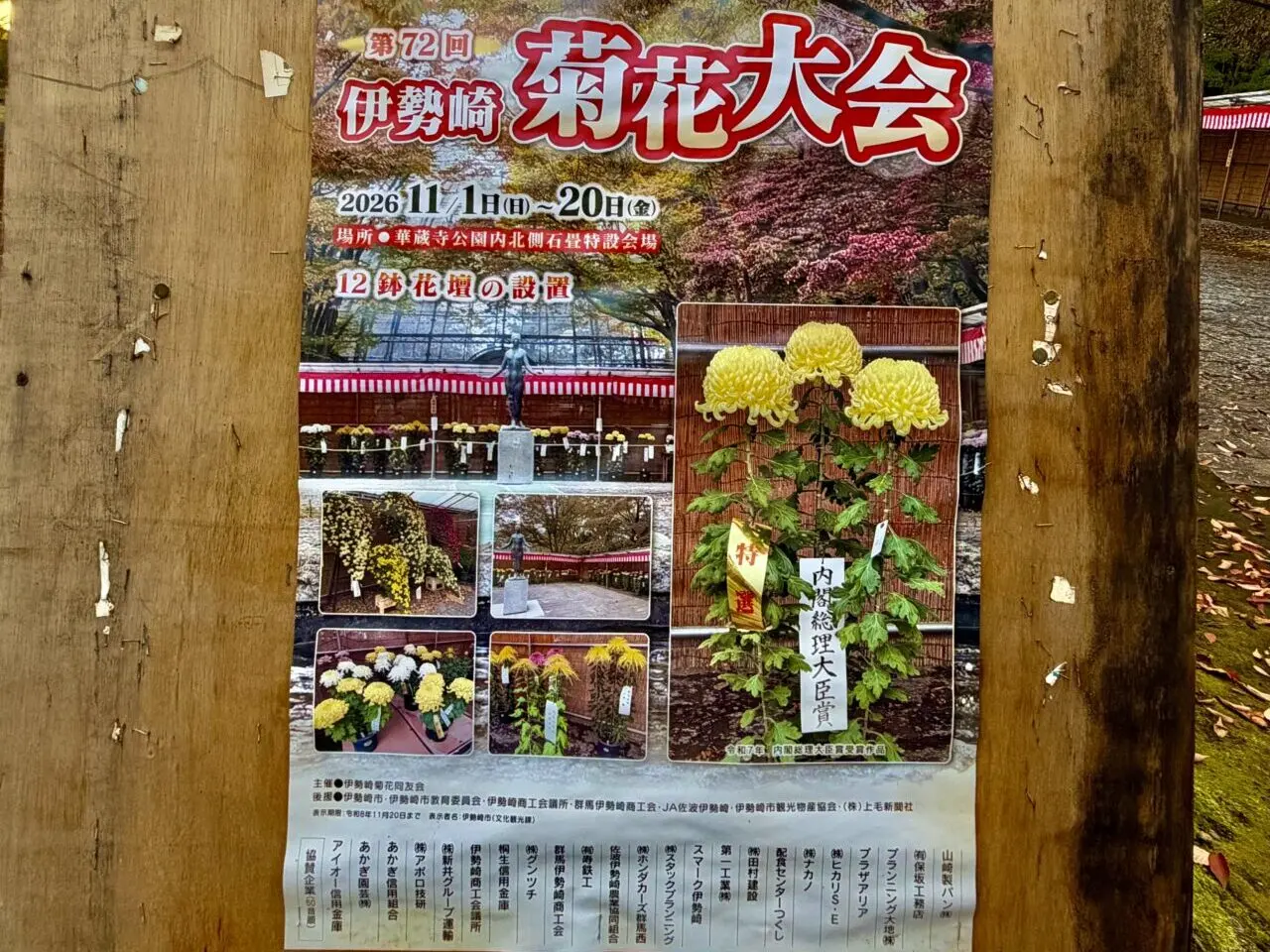 2026年10月27日伊勢崎菊花大会ポスター