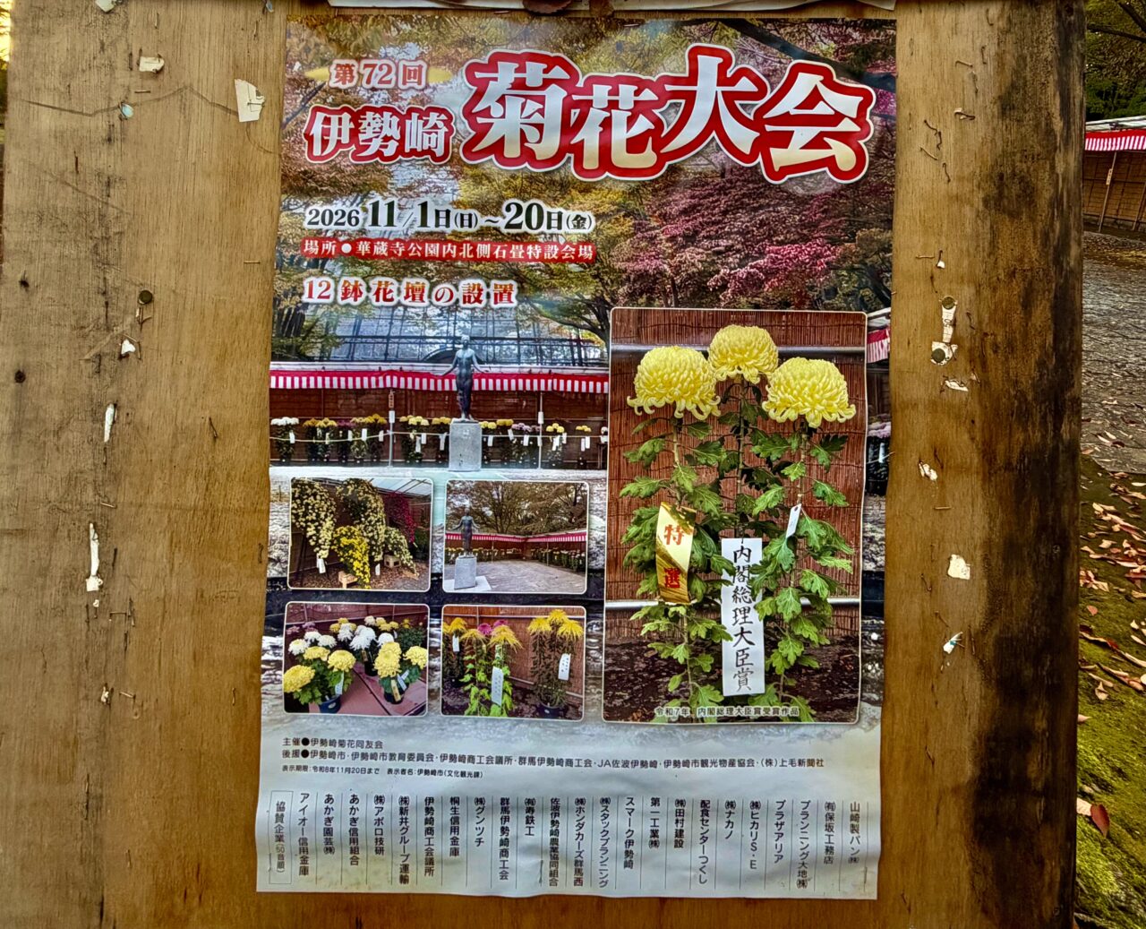 2026年10月27日伊勢崎菊花大会ポスター