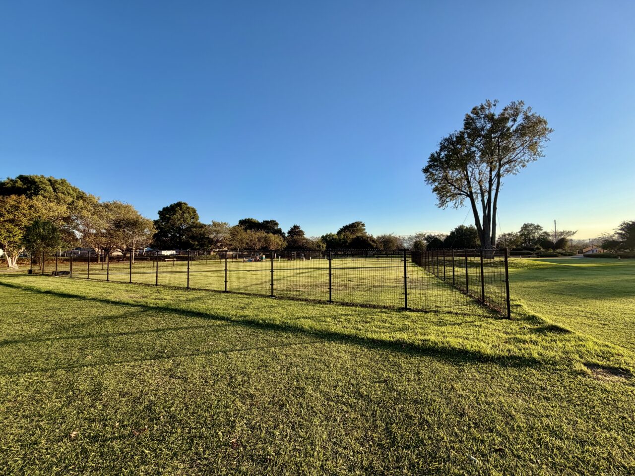 2026年10月7日波志江沼環境ふれあい公園ドッグラン2