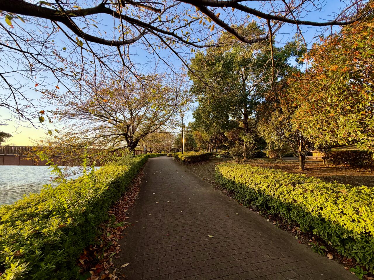 2026年10月7日波志江沼環境ふれあい公園遊歩道