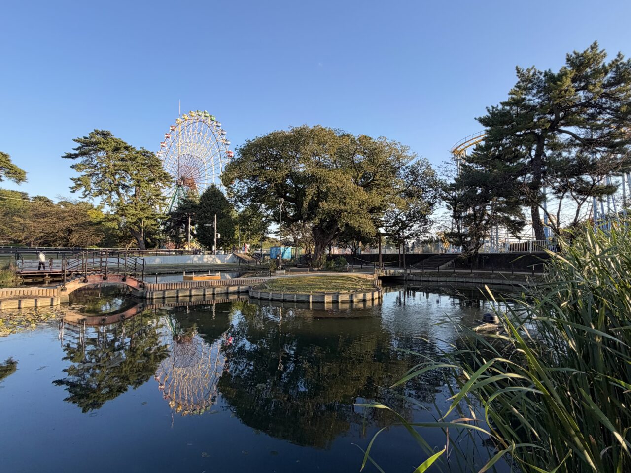 2026年10月21日華蔵寺公園水生植物園と観覧車